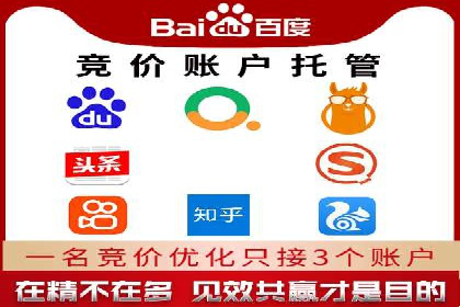 百度竞价广告投放案例解析